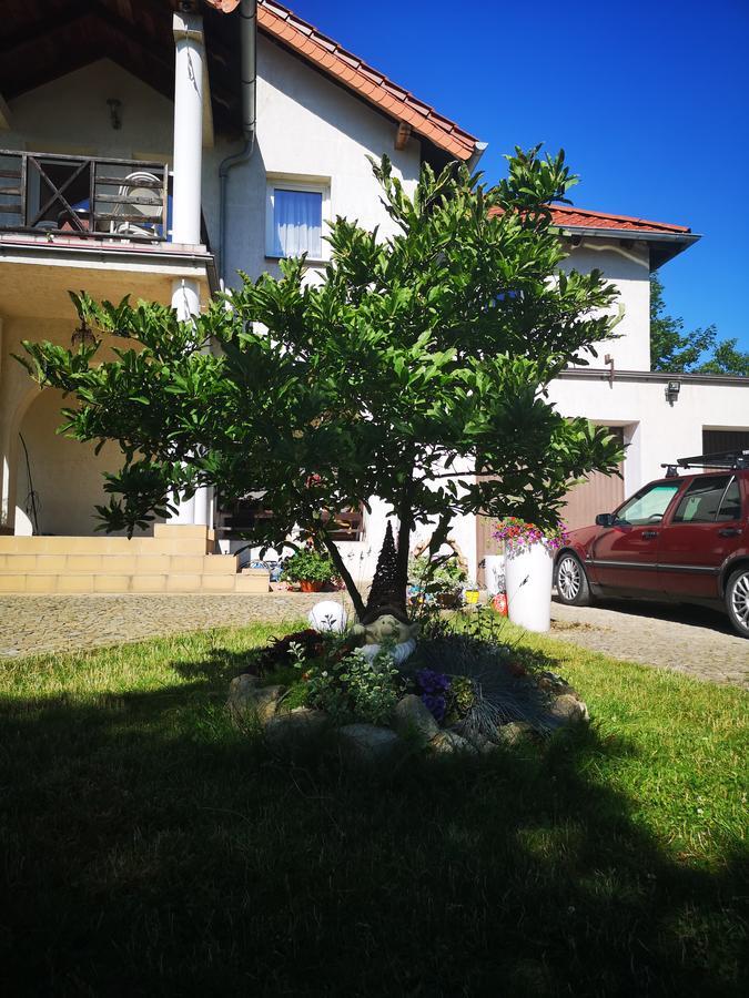 Casa Del Fasa Apartment Polanica-Zdrój Exterior foto